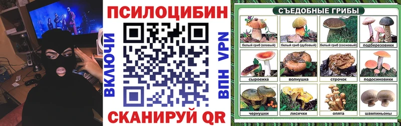 Галлюциногенные грибы Psilocybine cubensis  купить наркотики цена  Щёлково 